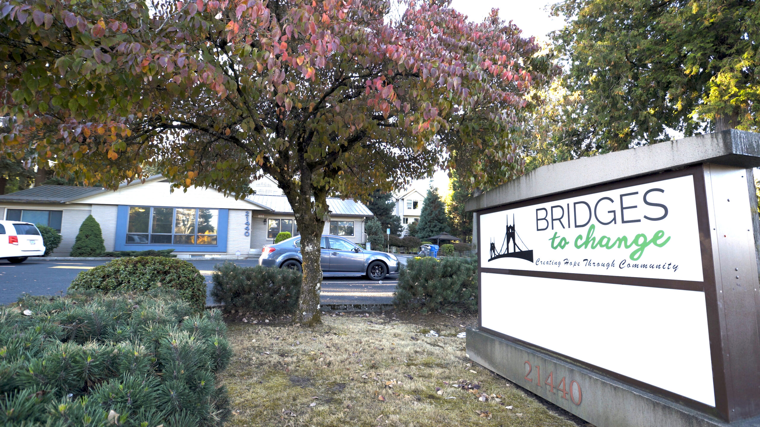 a tree with its leaves changing color provides shade for the bridges to change club hope sign in a quaint neighborhood