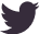 twitter icon